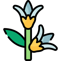 zimowy kwiat ostrokrzewu ikona
