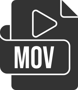 mov 파일 형식 icon