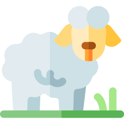 양고기 icon