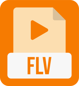 Flv file format icon