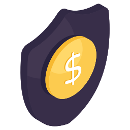 Money protection icon