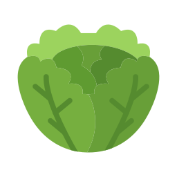 Cabbage icon