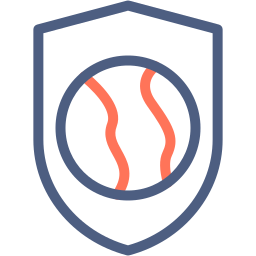 Shield icon