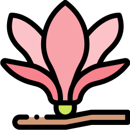 Magnolia icon