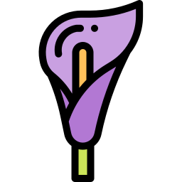 Calla lily icon