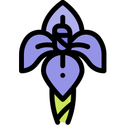 Iris icono