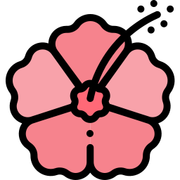 hibiskus icon