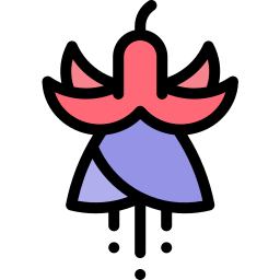 Fuchsia icono