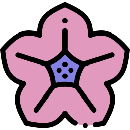 Petunia icono