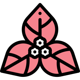 ブーゲンビリア icon