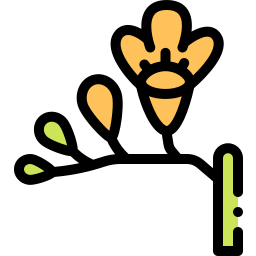 Freesia icono