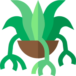 roślina pająka ikona