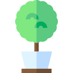 Myrtus icon