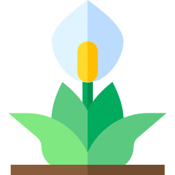 Peace lily icon