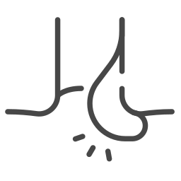 Symptom icon