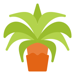 Date palm icon