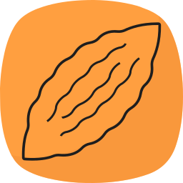 Bitter gourd icon