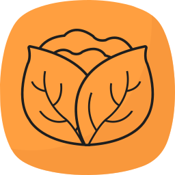 Cabbage icon