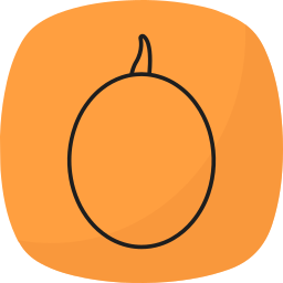 wassermelone icon