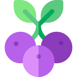 Blueberries icon