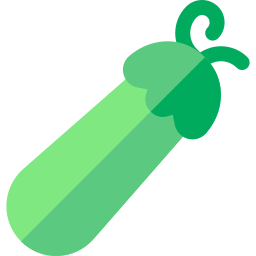 Zucchini icon