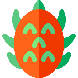 pitaya icoon