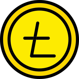 Coin icon