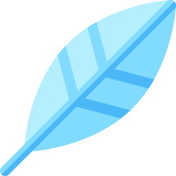 Feather icon