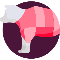 Beef icon