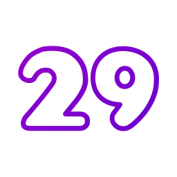 29 icon
