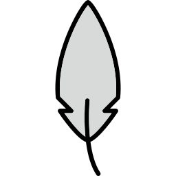 Feather icon