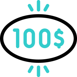 100 dollar icon