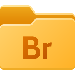 adobe bridge icon