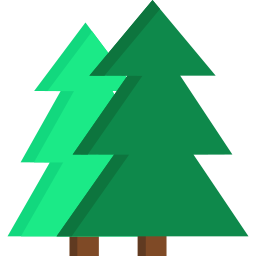 Pine icon