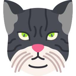 American wirehair cat icon