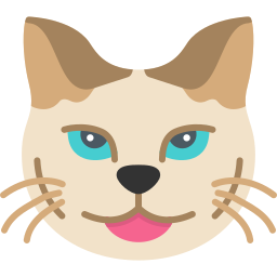 gatto persiano icona