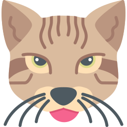 벵갈고양이 icon