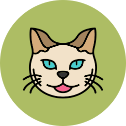 gatto persiano icona