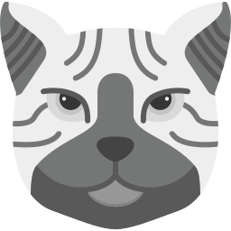 gatto mannese icona