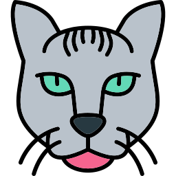 드웰 고양이 icon