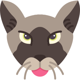 cymrische kat icoon