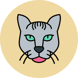 gato enano icono