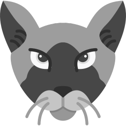 キムリック猫 icon