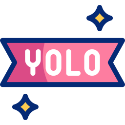 yolo icono