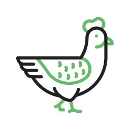 Chicken icon