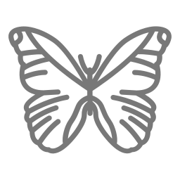 Morpho butterfly icon