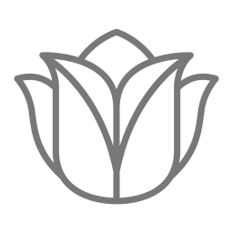 장미꽃 icon