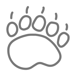 Bear footprint icon