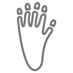 Racoon footprint icon
