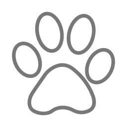 impronta di gatto icona